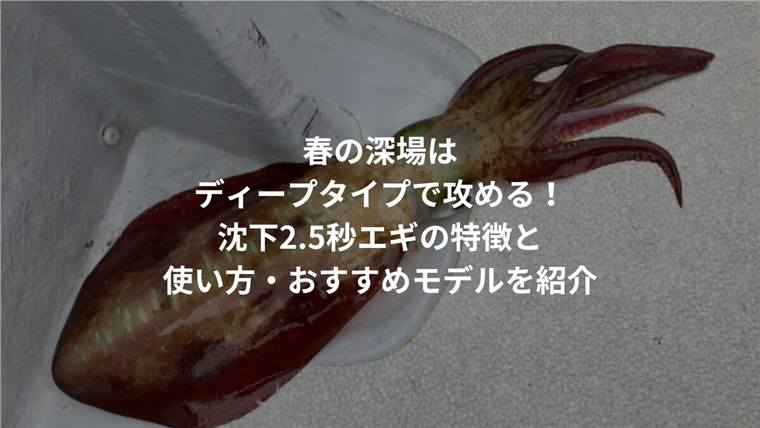 春の深場はディープタイプで攻める!沈下2.5秒エギの特徴と使い方・おすすめモデルを紹介