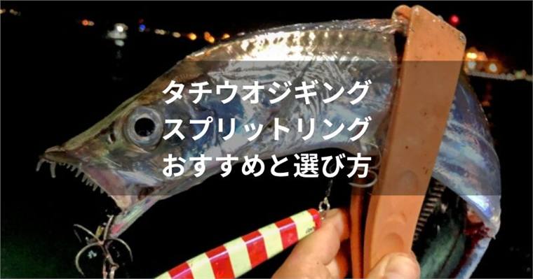 タチウオジギング用スプリットリングのおすすめ5選!サイズや強度の選び方も紹介!