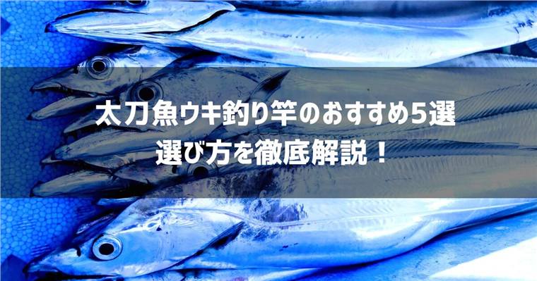 太刀魚ウキ釣り竿のおすすめ5選と選び方を徹底解説!