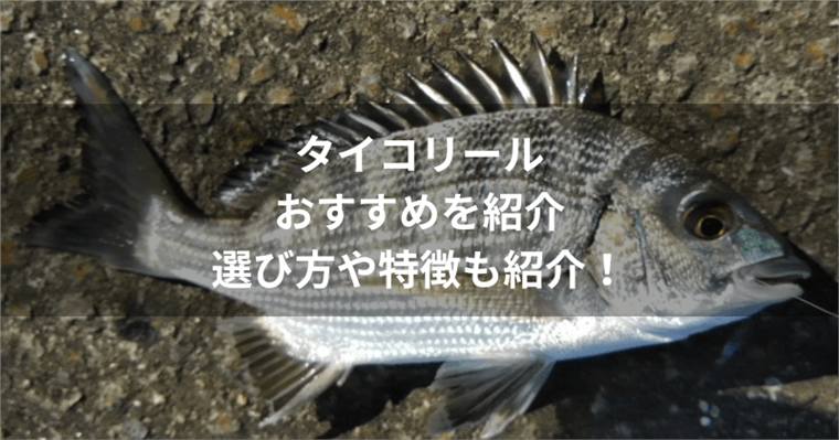 タイコリールのおすすめ7選|ヘチ釣り・落とし込み向けの選び方を解説