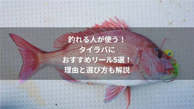 釣れる人が使う!タイラバにおすすめのリール5選【理由と選び方も解説】