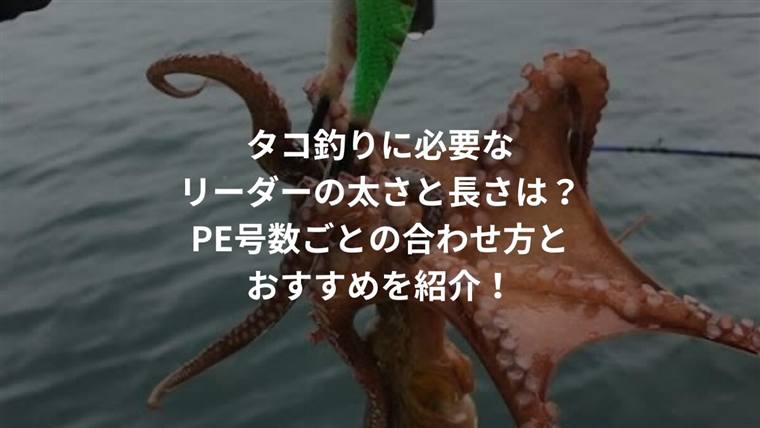 タコ釣りに必要なリーダーの太さと長さは?PE号数ごとの合わせ方とおすすめを紹介!