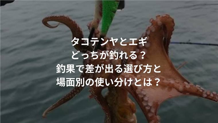 タコテンヤとエギどっちが釣れる?釣果で差が出る選び方と場面別の使い分けとは?