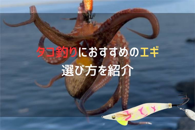 タコ釣りにおすすめのエギ12選&選び方を紹介!