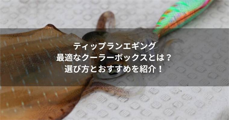 ティップランエギングに最適なクーラーボックスとは?選び方とおすすめモデル5選!