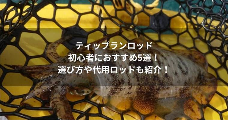 ティップランロッドの初心者におすすめ5選!選び方や代用ロッドも紹介!