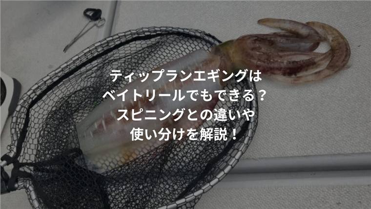 ティップランエギングはベイトリールでもできる?スピニングとの違いや使い分けを解説