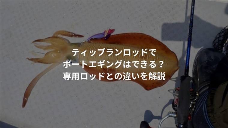 ボートエギングロッドとティップランロッドの違いは?代用できるか解説
