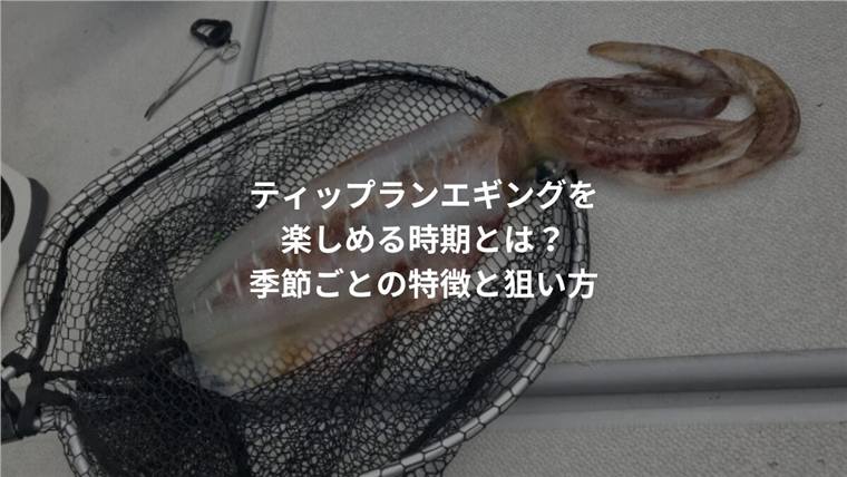 ティップランの時期はいつ?秋と春の違いと始めやすい季節を解説