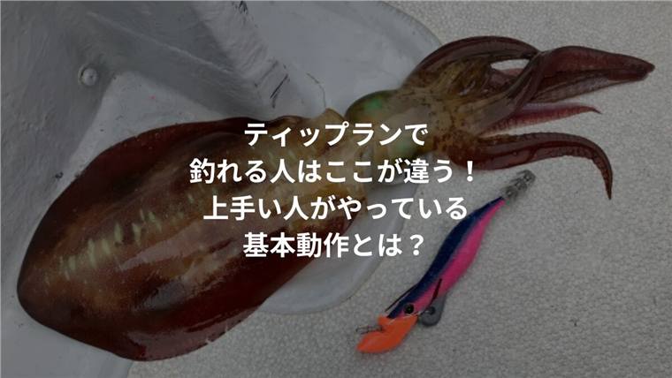 ティップランで釣れる人のコツ|上手い人の底取り・ステイ・アタリの取り方
