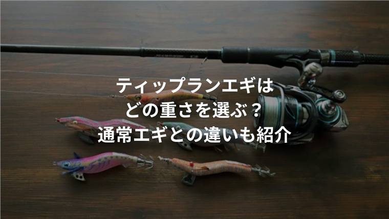 ティップランエギの重さはどう選ぶ?普通のエギとの違いも解説