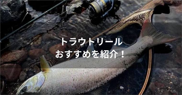 トラウトリールおすすめ26選｜エリア・渓流の番手と選び方