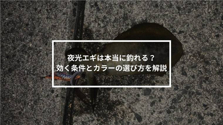 夜光エギは本当に釣れる?効く条件とカラーの選び方を解説