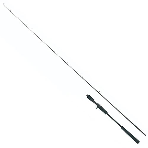 ヤマガブランクス SeaWalk Light Jigging B65M