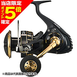 ダイワ BG SW 10000-H